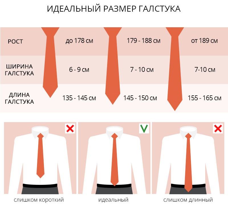 Длина галстука по этикету у мужчин: как выбрать размер и ширину