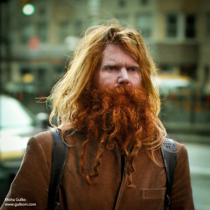 Кудрявая борода викингов