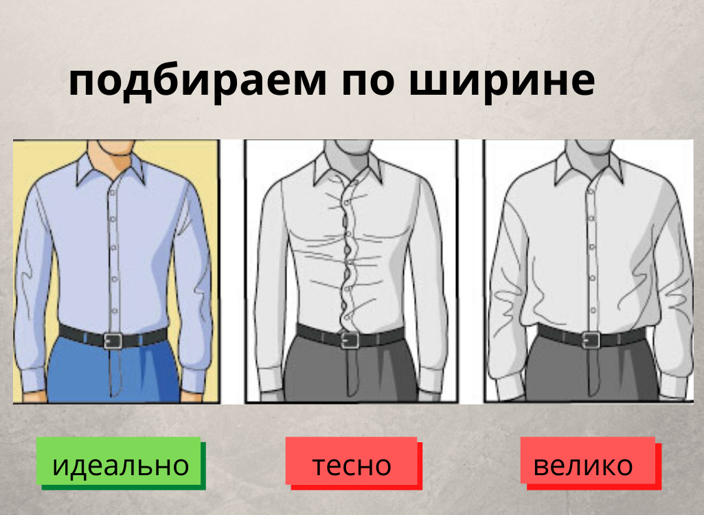 Правила подбора мужской рубашки